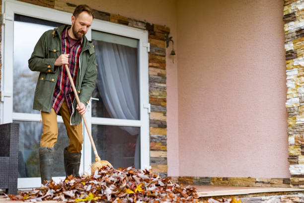 Best Garage Cleanout Services  in Findlay, OH